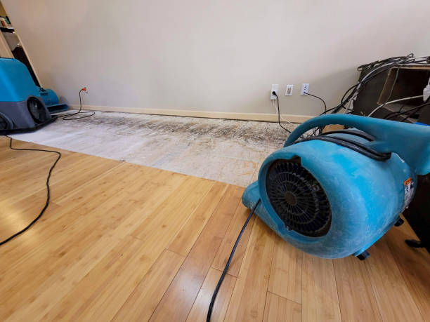 Professional Water Removal technician working in Irwin, OH